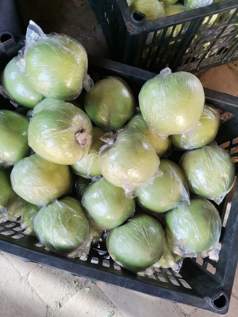 王林苹果，青苹果，口感脆甜，货源充足，质优价廉！