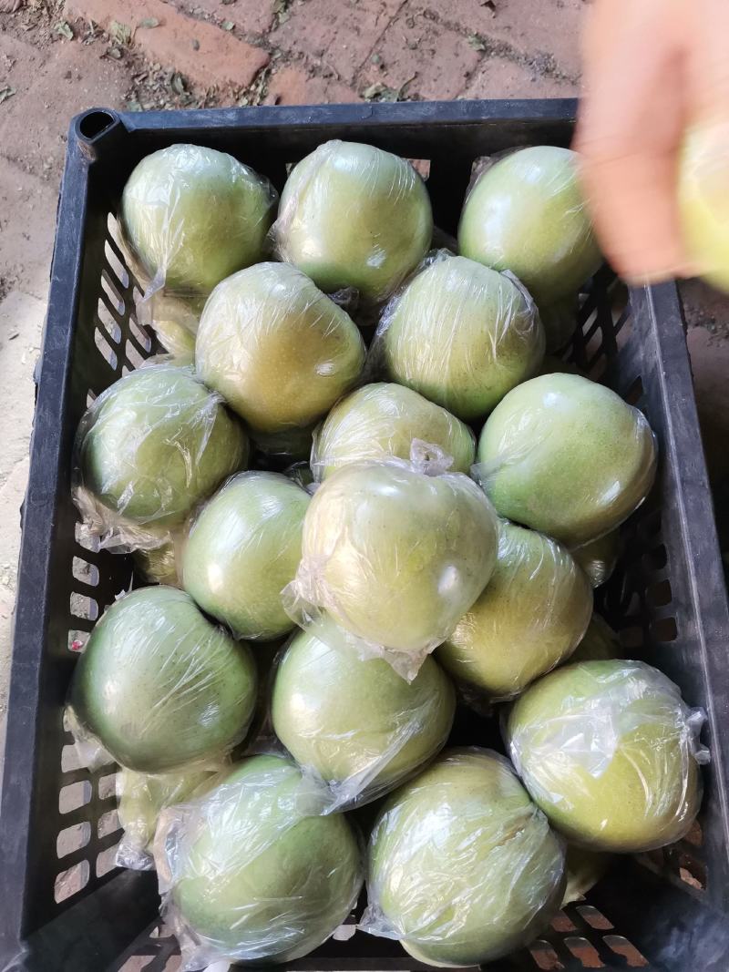 王林苹果，青苹果，口感脆甜，货源充足，质优价廉！
