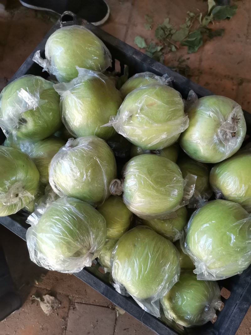 王林苹果，青苹果，口感脆甜，货源充足，质优价廉！