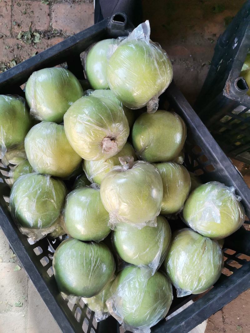 王林苹果，青苹果，口感脆甜，货源充足，质优价廉！