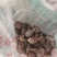 精品浙江芋艿芋头，产地直发，主要优质货，口感好