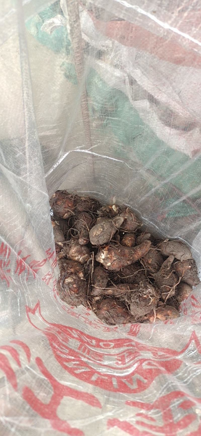 精品浙江芋艿芋头，产地直发，主要优质货，口感好