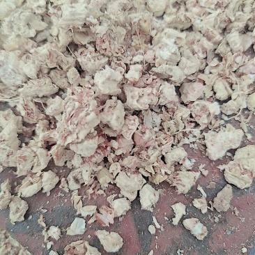 玉米芯