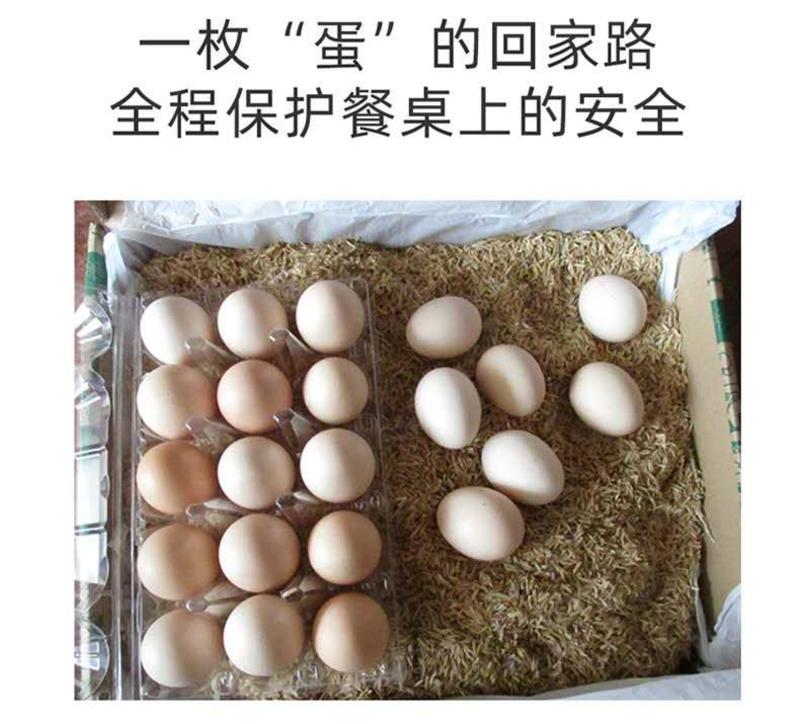 农家养土鸡蛋现捡现发新鲜谷物虫草柴鸡蛋盒装