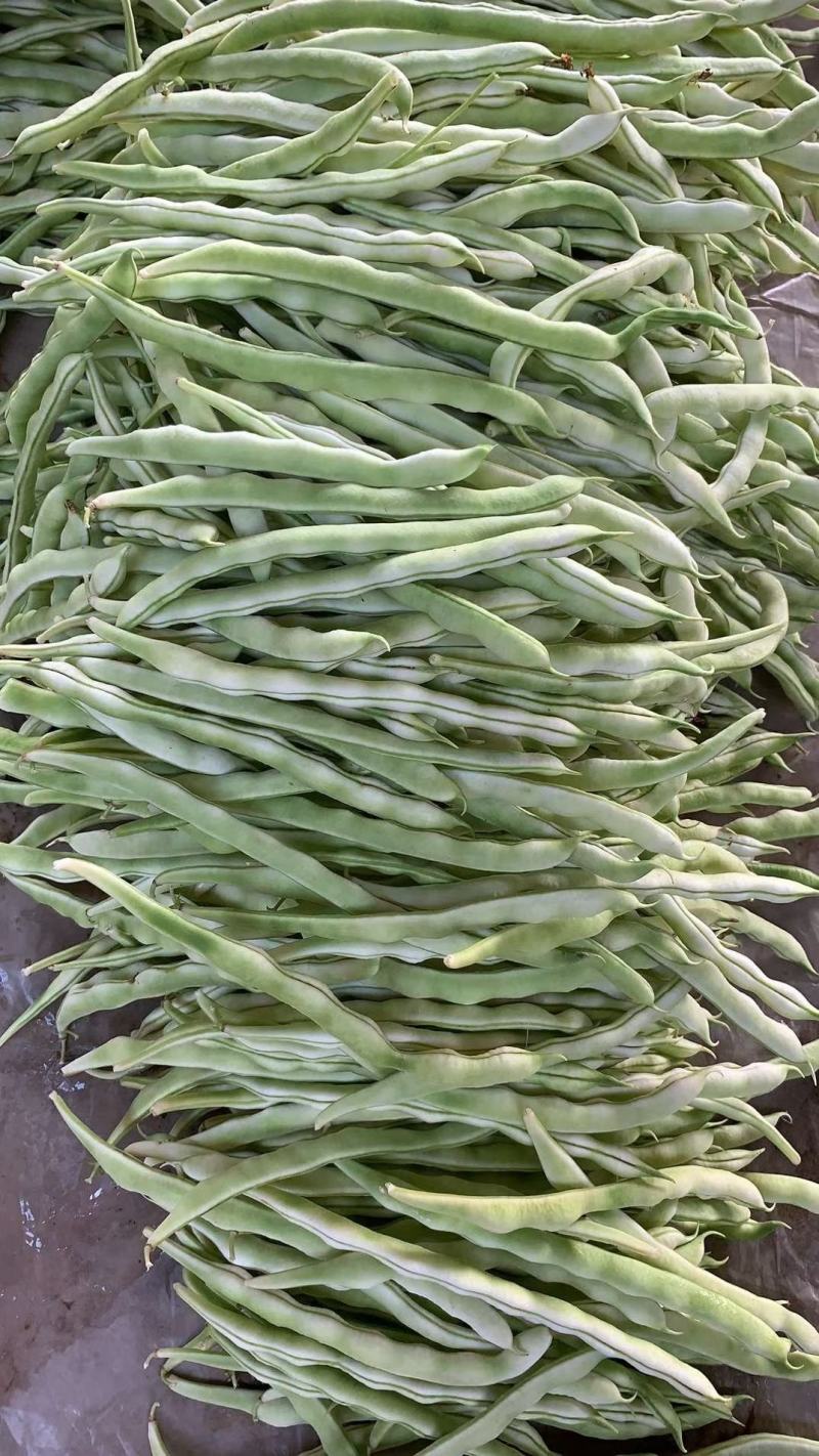 白不老豆角