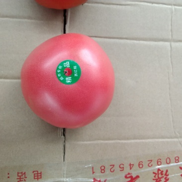 硬粉西红柿，色泽好，品质优。
