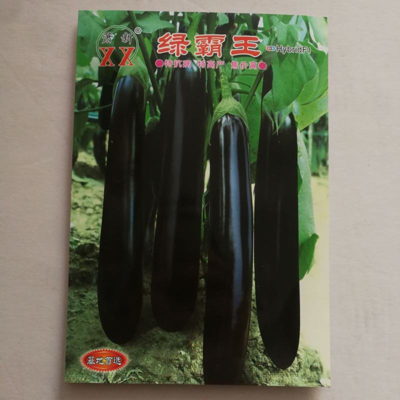 紫黑茄种子萧新原装玛丽斯绿霸王紫黑茄杂交一代种子