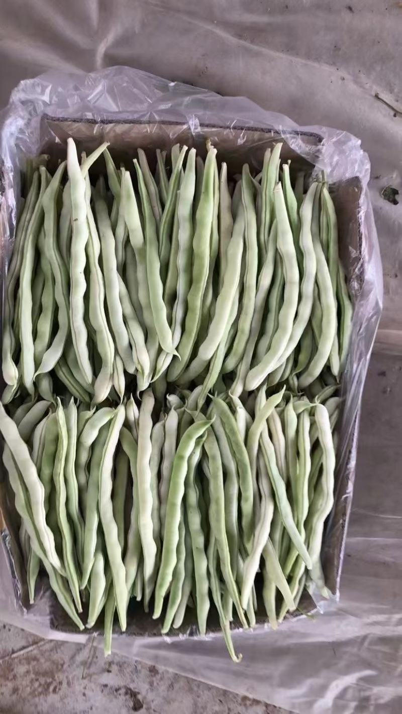 白豆角大量上市