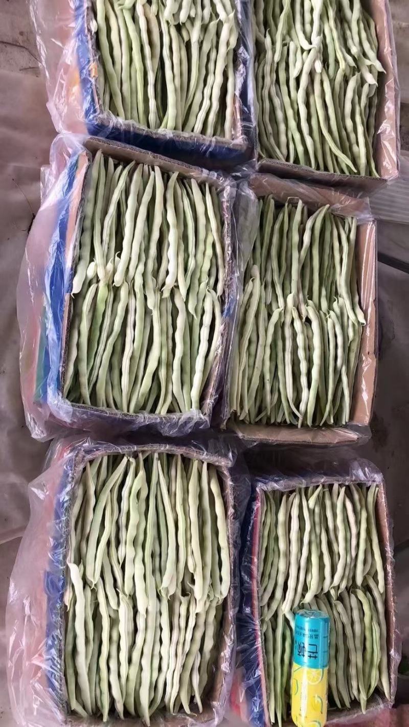 白豆角大量上市