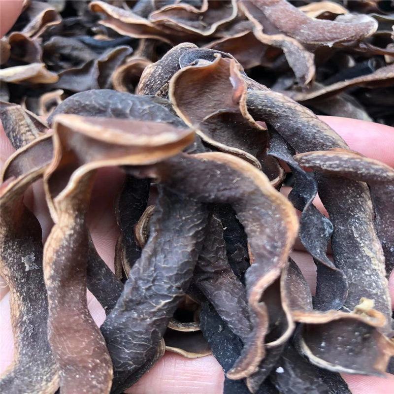广西现摘新鲜狗爪豆农家自种包邮