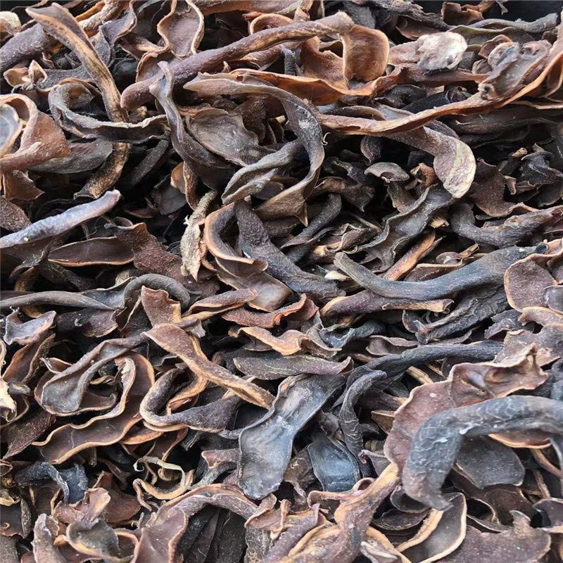 广西现摘新鲜狗爪豆农家自种包邮
