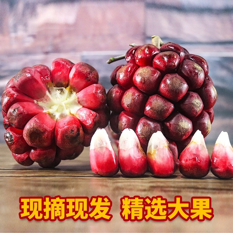 黑老虎新鲜布福娜水果酒饭团顺丰包邮包售后一件代发