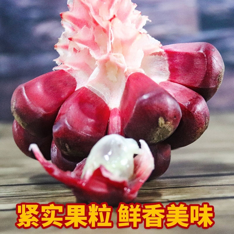 黑老虎新鲜布福娜水果酒饭团顺丰包邮包售后一件代发