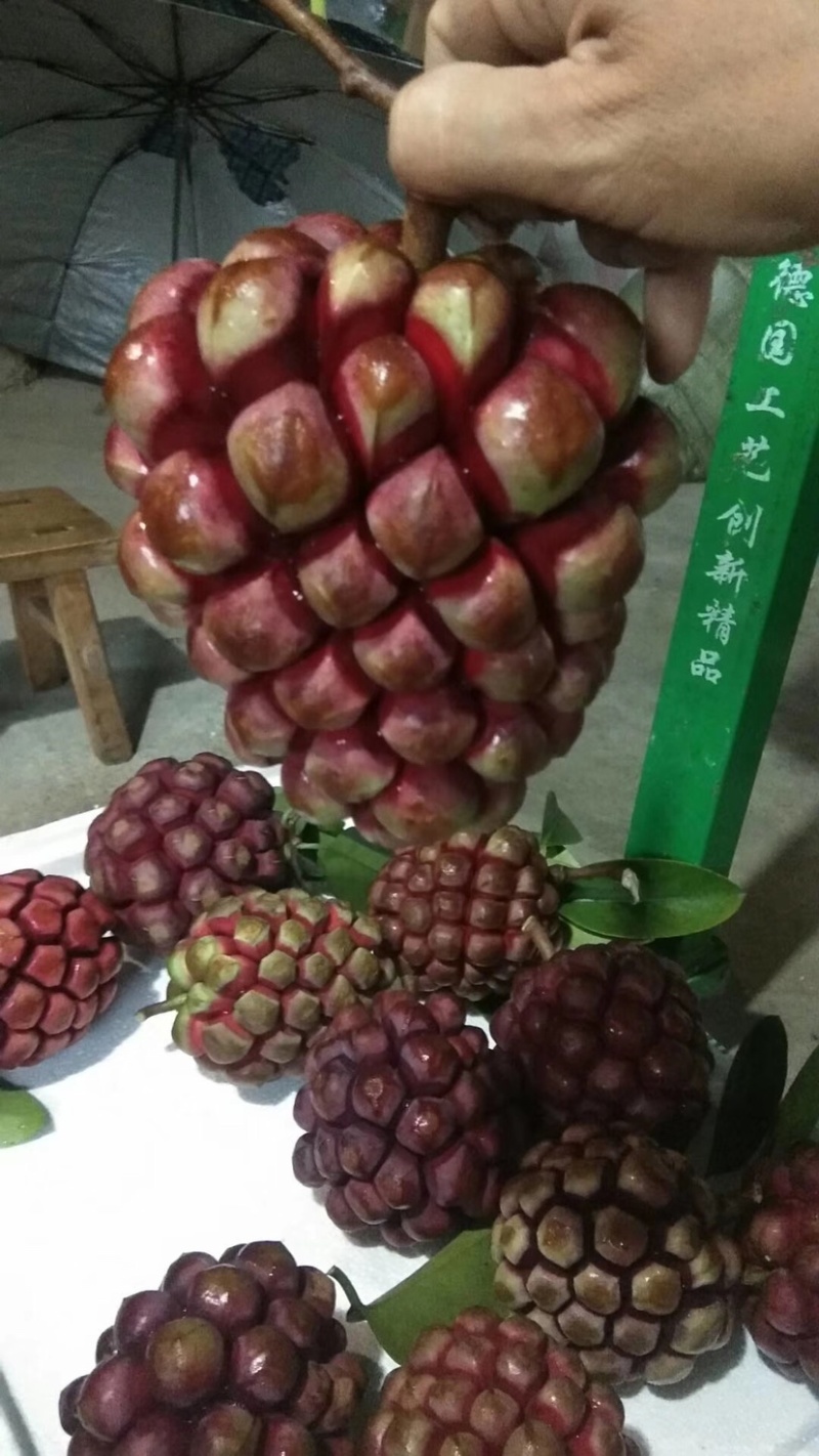 黑老虎布福娜稀有水果批发、一件代发顺丰包邮