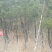5000多亩山林地30年可种养殖可休闲康养可风电光伏