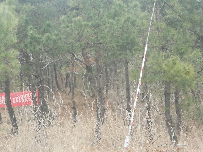 5000多亩山林地30年可种养殖可休闲康养可风电光伏