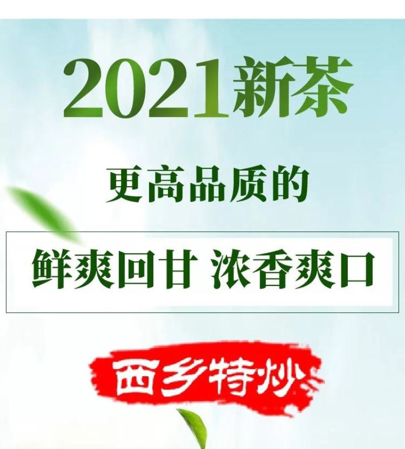 汉中绿茶炒青陕西西乡特炒2021新茶雨前春茶叶炒青250