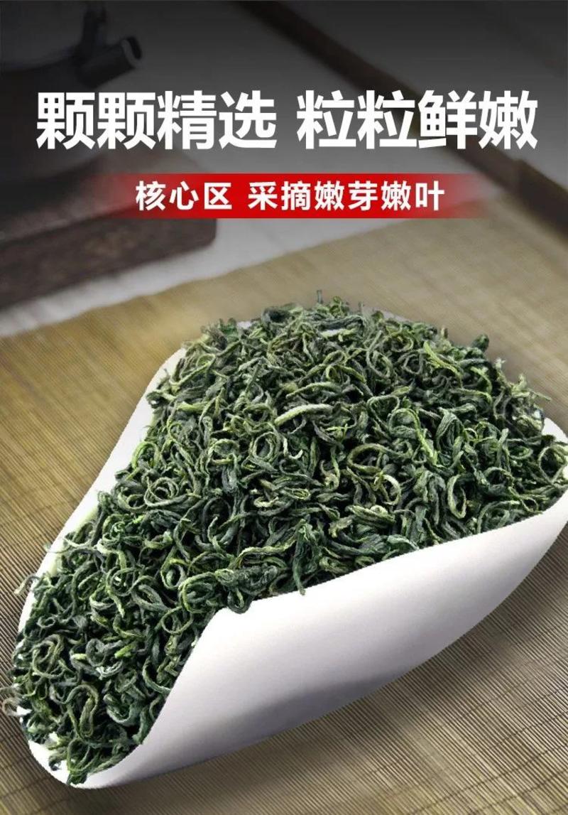 汉中绿茶炒青陕西西乡特炒2021新茶雨前春茶叶炒青250