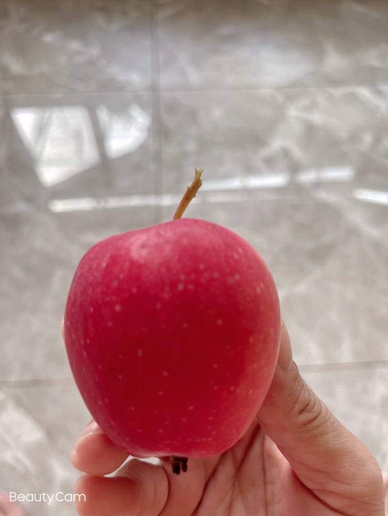 鸡心果（自然熟）糖心口感甜脆即将上市详情电话咨询