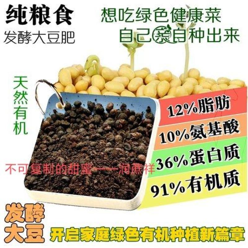 益生菌纳豆菌发酵大豆，袋装，进口非转大豆，日照港提货
