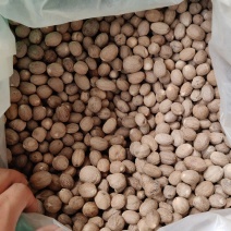 精品肉蔻肉豆蔻各种中药材调料批发零售实物