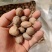 精品肉蔻肉豆蔻各种中药材调料批发零售实物