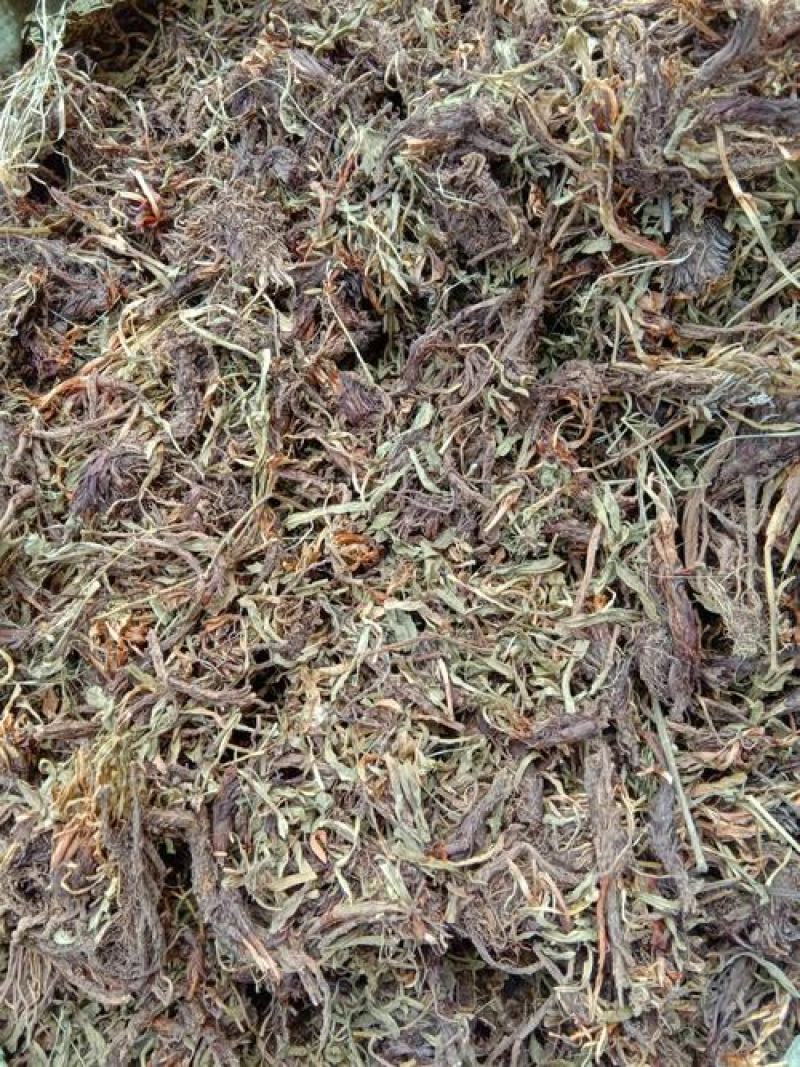 甘松，香松新货气味浓厚质量保证现货供应欢迎咨询购买！