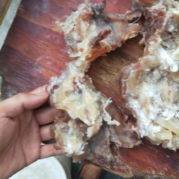 熟牛筋牛棒拆骨筋