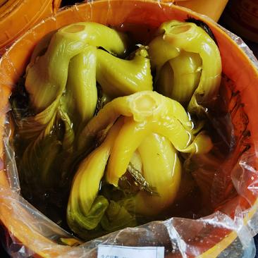 老坛酸菜酸菜鱼专用30年传统手艺腌制60一桶