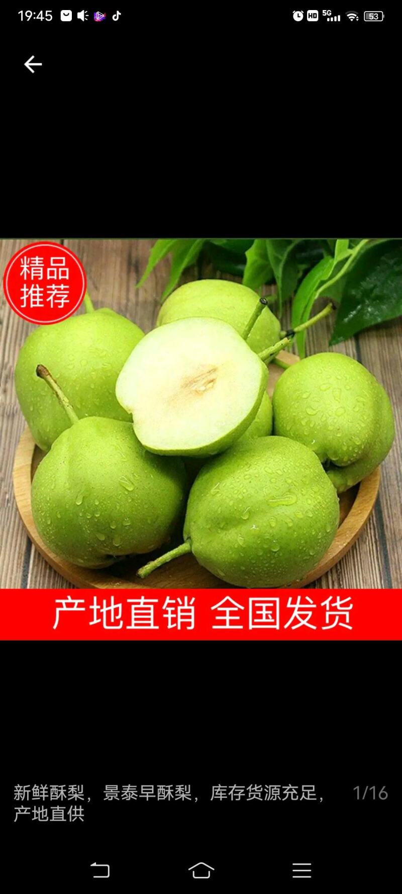 精品早酥梨