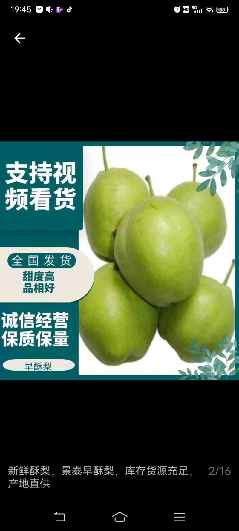 精品早酥梨