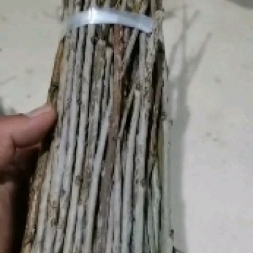 特种养殖