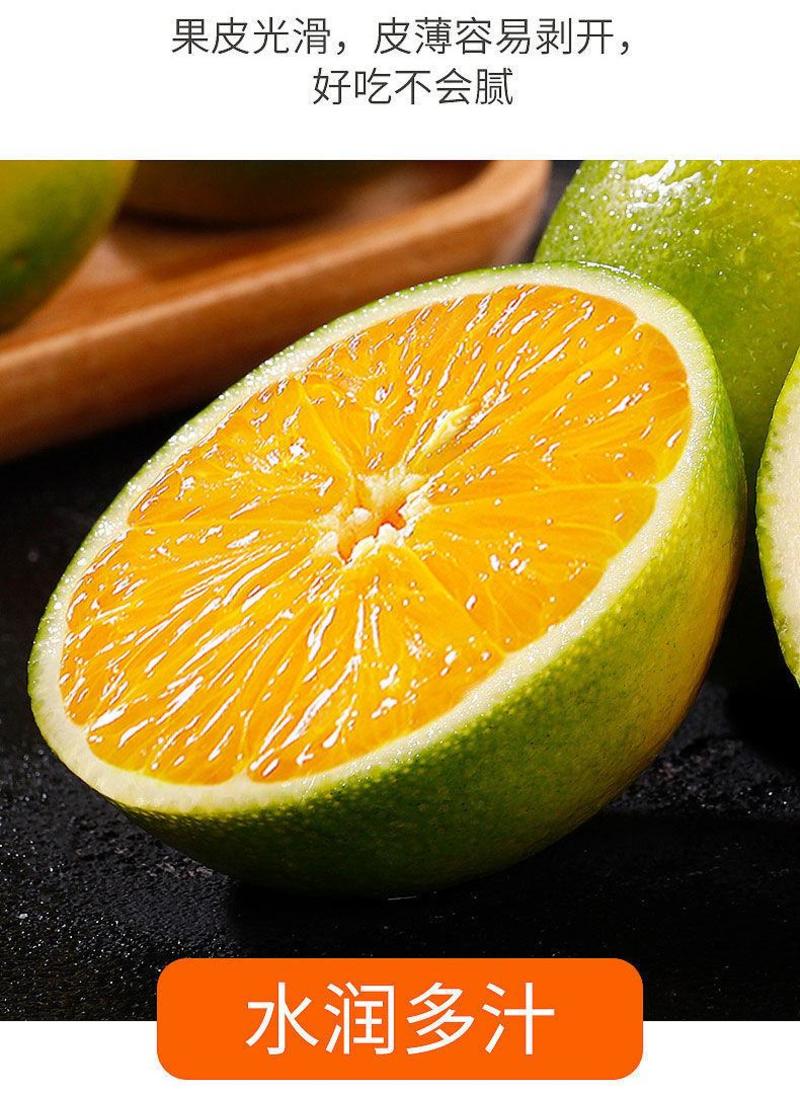 云南高原独有的绿皮冰糖橙橙子