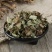 中药材泽兰粉正品泽兰叶粉蛇王草新鲜干货现磨粉包邮