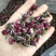 云南特产金边玫全干玫瑰花茶玫瑰花茶金边玫瑰