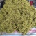 金银花中药材金银花无硫无添加批发零售各种规格