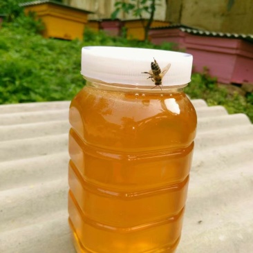 取自秦岭深处纯正土蜂蜜，无任何添加，蜜香回味。