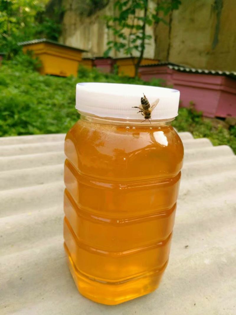 取自秦岭深处纯正土蜂蜜，无任何添加，蜜香回味。