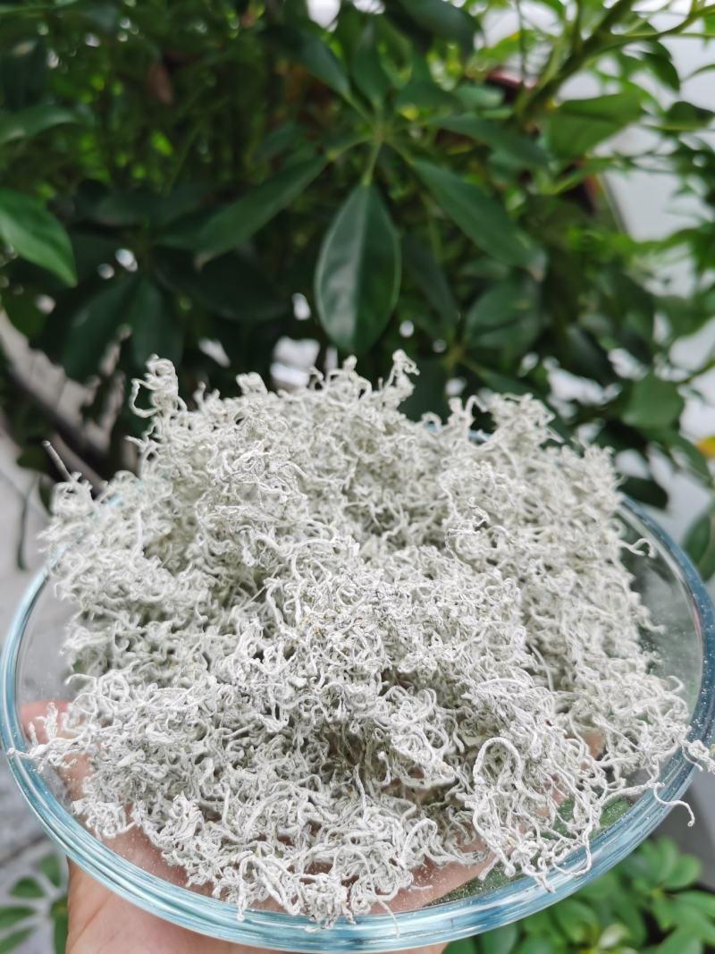 2022春恩施特产野生藤茶来凤藤茶龙须嫩芽调节三高改善睡