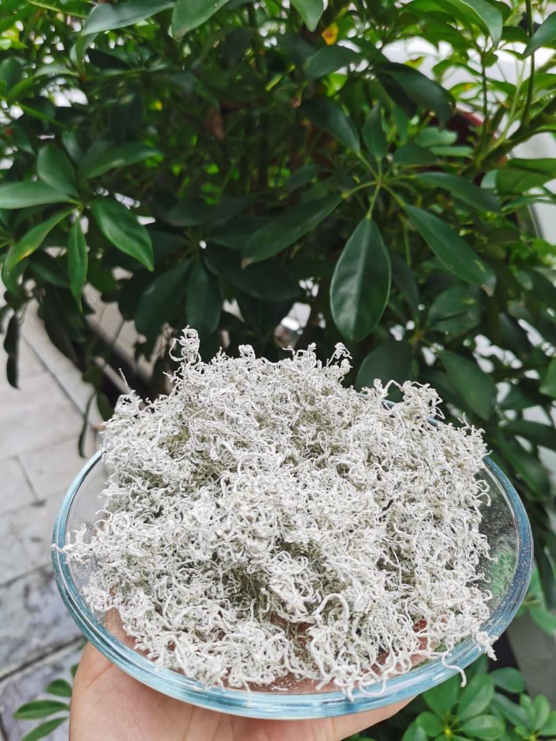 2022春恩施特产野生藤茶来凤藤茶龙须嫩芽调节三高改善睡
