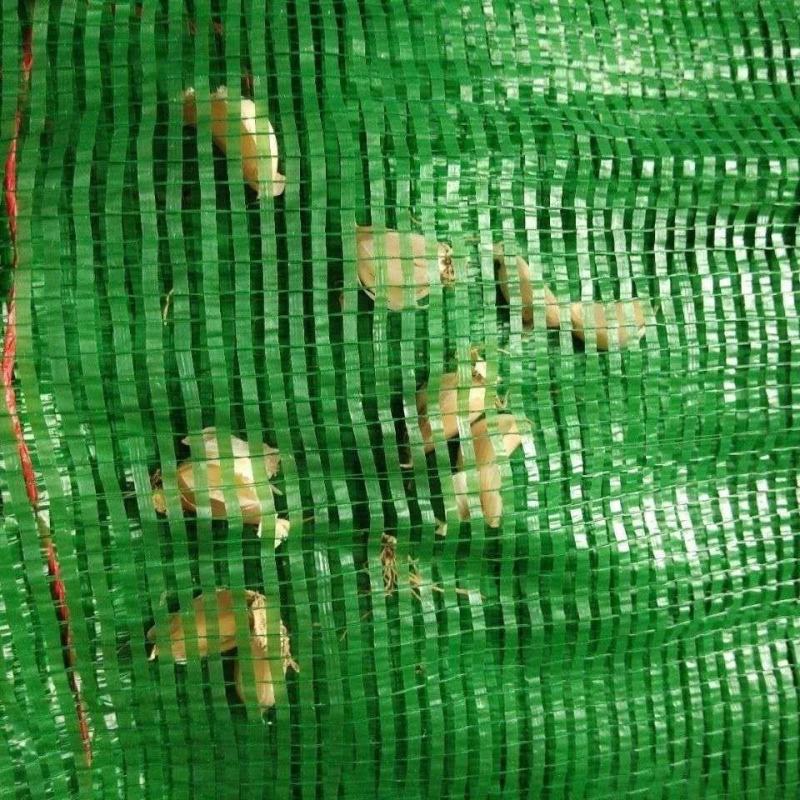 大蒜玉米一次性专用袋网眼袋编织袋普通一次性农业用网眼编织