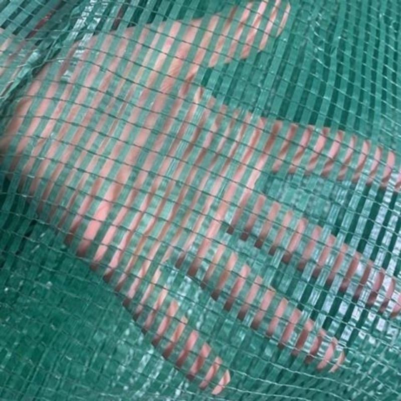 大蒜玉米一次性专用袋网眼袋编织袋普通一次性农业用网眼编织