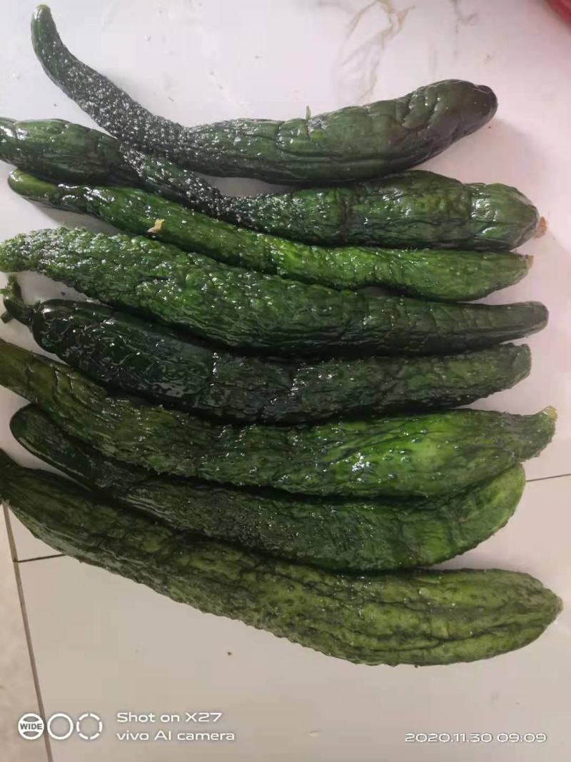 半成品绿色黄瓜，腌制黄瓜，二次腌制，无杂质