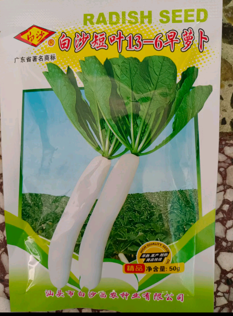 短叶13-6萝卜种高产优质种子