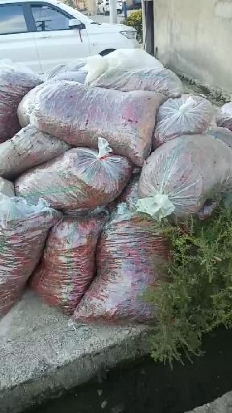 贵州深山正宗小米辣椒朝天椒每天能出两到五万斤真正的产地直