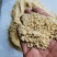 玉米次粉纤维5脂肪7蛋白9-10