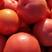 硬粉西红柿，色泽鲜艳，果型圆润，产地直发，欢迎各位老板选