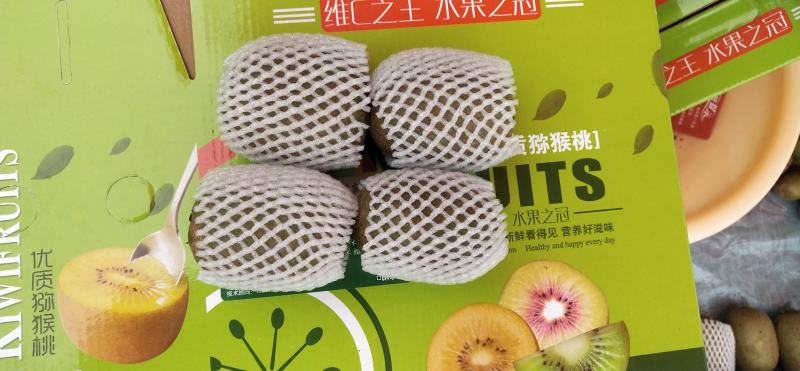 猕猴桃北方无毛高甜度