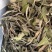 福鼎高山白茶白牡丹花香白牡丹500g散装茶叶