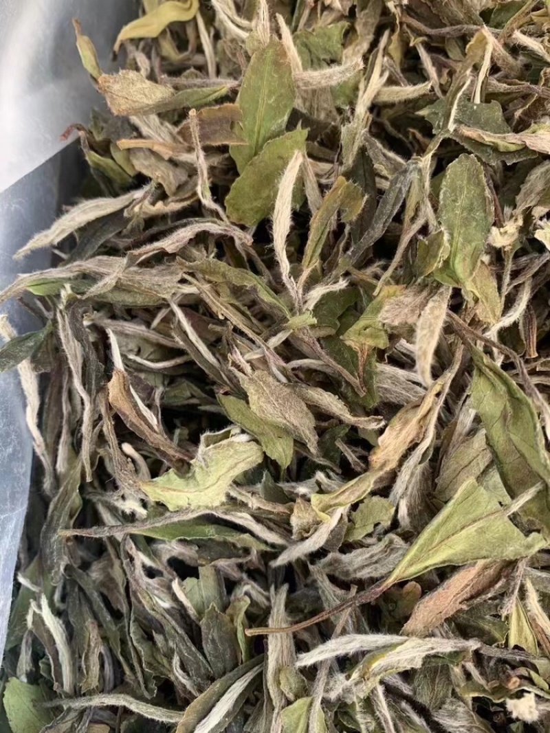 福鼎高山白茶白牡丹花香白牡丹500g散装茶叶